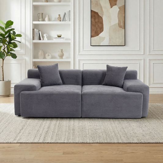 DELMANGO Cloud Sectional Couch 2 Seats, Extra Deep Loveseat for Living Room Gray
