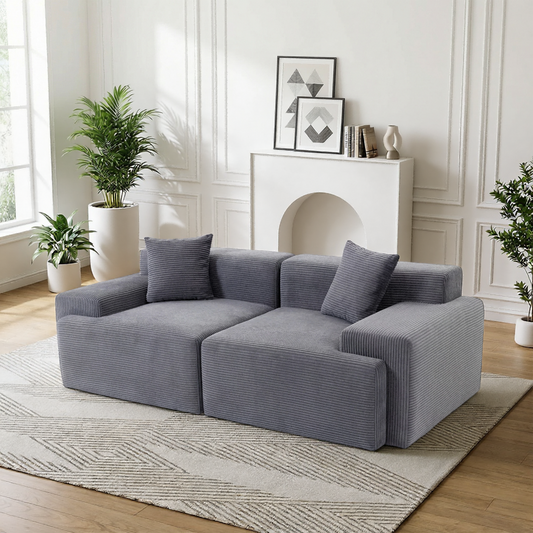 DELMANGO Cloud Sectional Couch 2 Seats, Extra Deep Loveseat for Living Room Gray